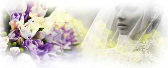 banner-wedding-speciale-eventi